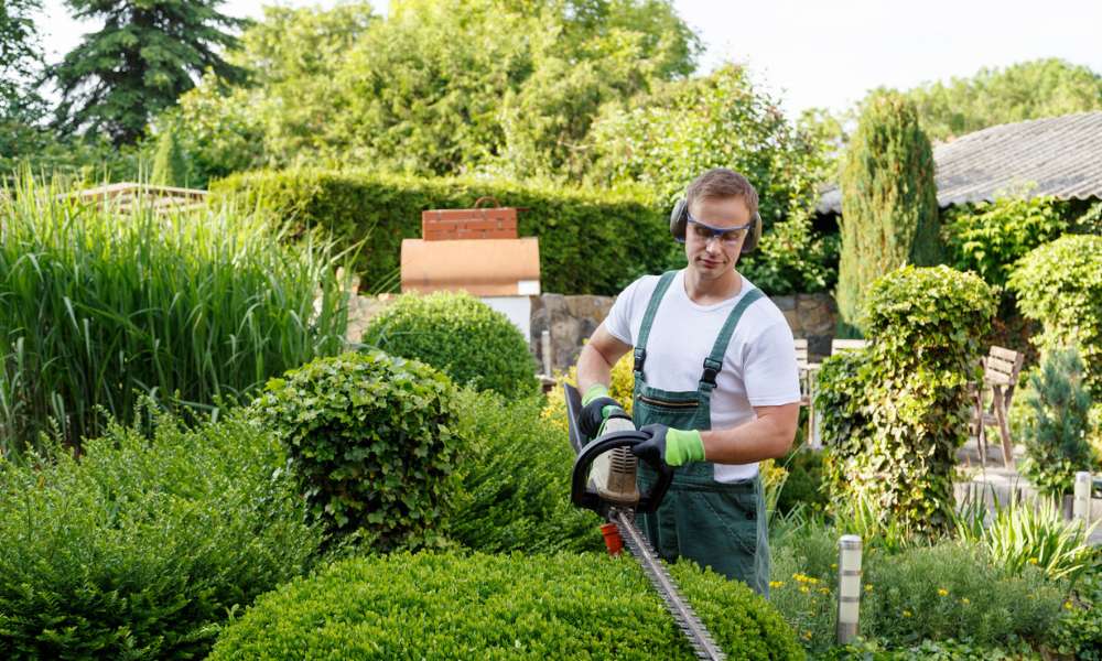 How to make money if gardening is your hobby.